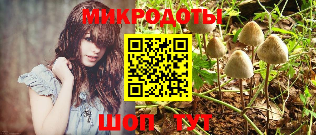 Псилоцибиновые грибы Magic Shrooms  Вход с VPN  Ноябрьск 